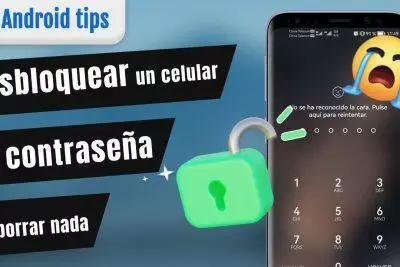 Desbloqueo de un teléfono ZTE: la pantalla muestra que el reconocimiento facial falló y solicita el ingreso de contraseña.