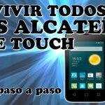 Guía de desbloqueo del Alcatel One Touch 4010a: instrucciones paso a paso