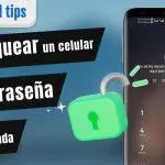 Desbloqueo de un teléfono ZTE: la pantalla muestra que el reconocimiento facial falló y solicita el ingreso de contraseña.